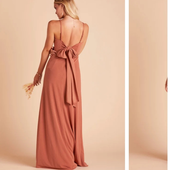 Birdy Grey Terracotta Benny Dress Crepe - Picture 5 of 5